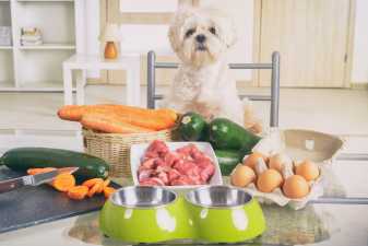 Homemade Dog Food: How Can You Prepare Nutritious Meals at Home?